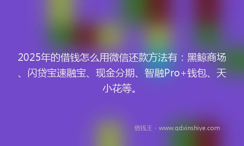 2025年的借钱怎么用微信还款方法有：黑鲸商场、闪贷宝速融宝、现金分期、智融Pro+钱包、天小花等。