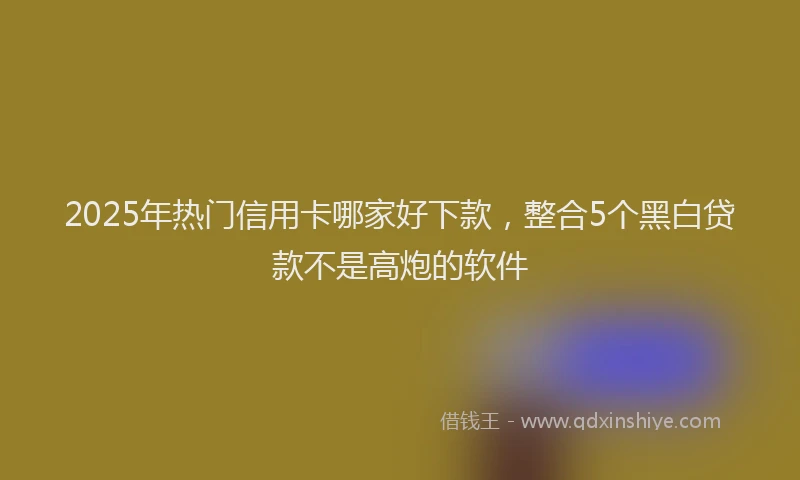 2025年热门信用卡哪家好下款，整合5个黑白贷款不是高炮的软件