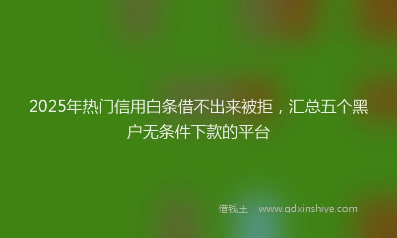 2025年热门信用白条借不出来被拒，汇总五个黑户无条件下款的平台
