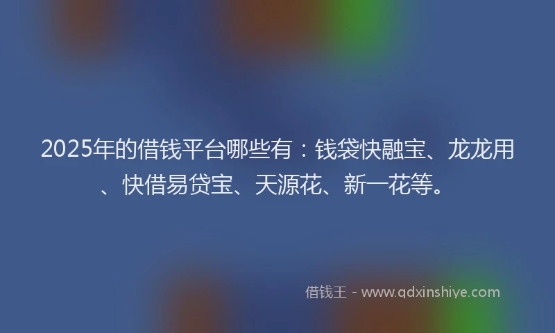 2025年的借钱平台哪些有：钱袋快融宝、龙龙用、快借易贷宝、天源花、新一花等。