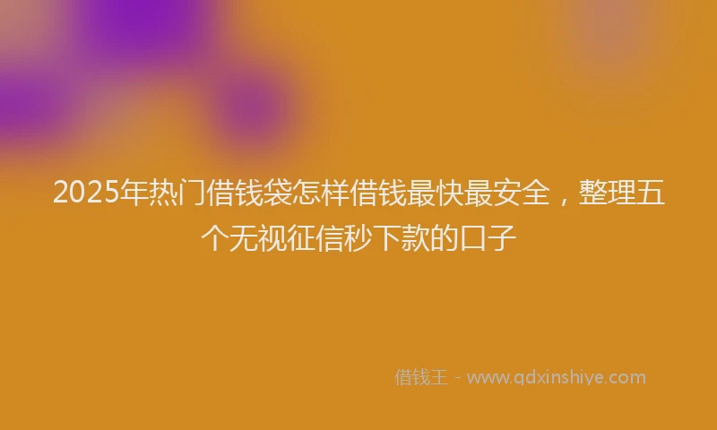 2025年热门借钱袋怎样借钱最快最安全，整理五个无视征信秒下款的口子