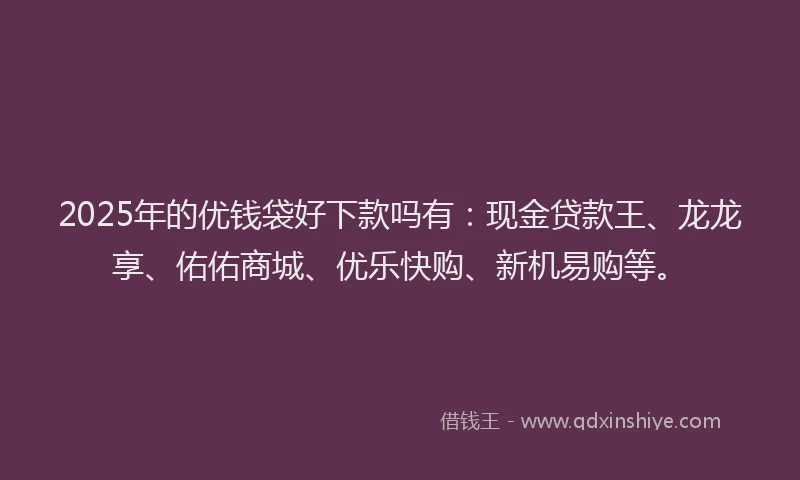 2025年的优钱袋好下款吗有：现金贷款王、龙龙享、佑佑商城、优乐快购、新机易购等。