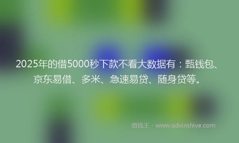 2025年的借5000秒下款不看大数据有：甄钱包、京东易借、多米、急速易贷、随身贷等。