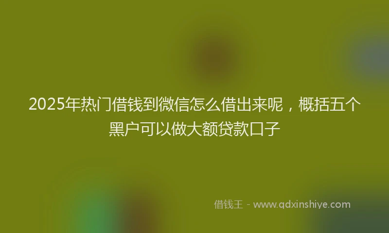 2025年热门借钱到微信怎么借出来呢，概括五个黑户可以做大额贷款口子