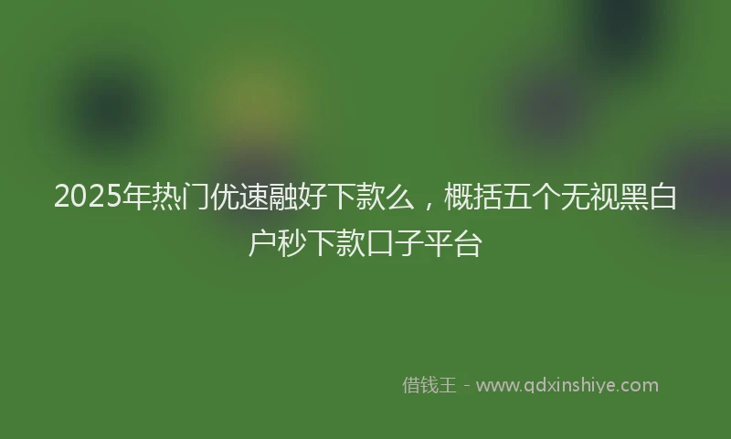 2025年热门优速融好下款么，概括五个无视黑白户秒下款口子平台