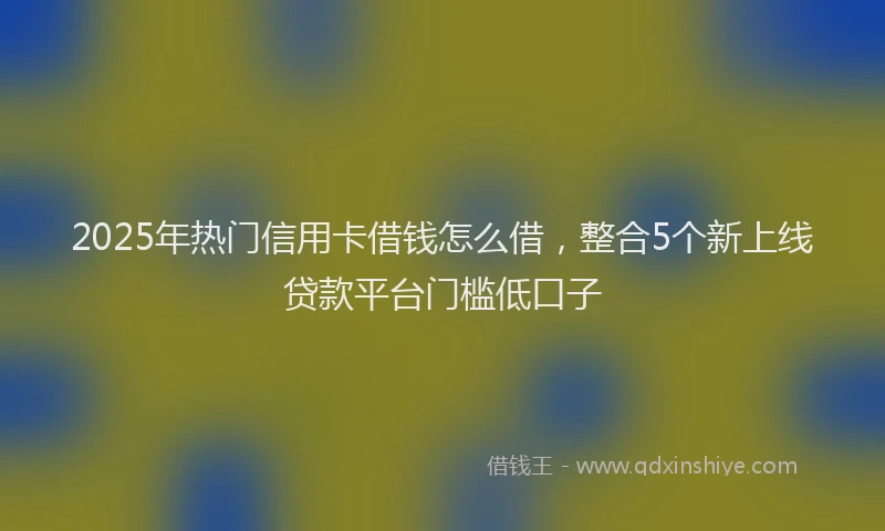 2025年热门信用卡借钱怎么借，整合5个新上线贷款平台门槛低口子