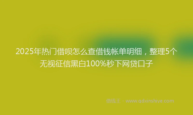 2025年热门借呗怎么查借钱帐单明细，整理5个无视征信黑白100%秒下网贷口子
