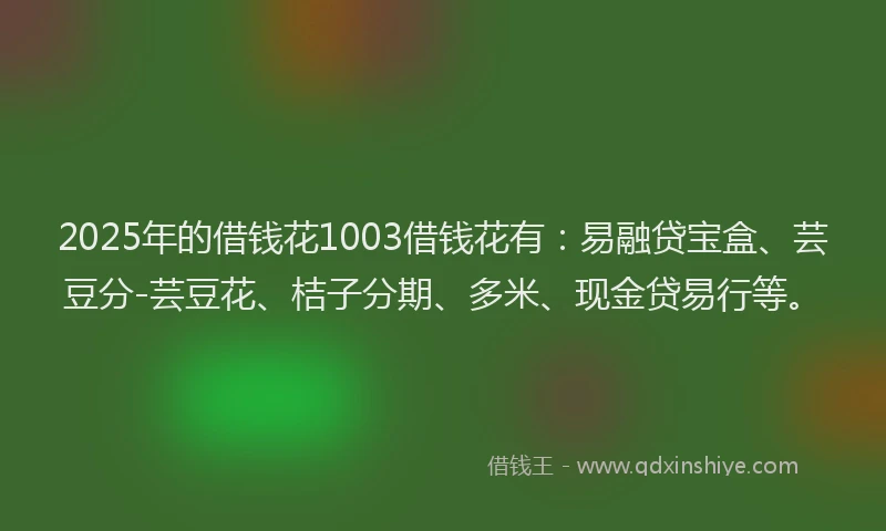 2025年的借钱花1003借钱花有：易融贷宝盒、芸豆分-芸豆花、桔子分期、多米、现金贷易行等。