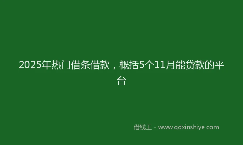 2025年热门借条借款，概括5个11月能贷款的平台