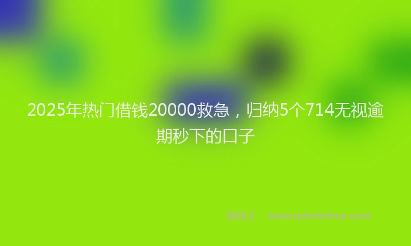 2025年热门借钱20000救急，归纳5个714无视逾期秒下的口子