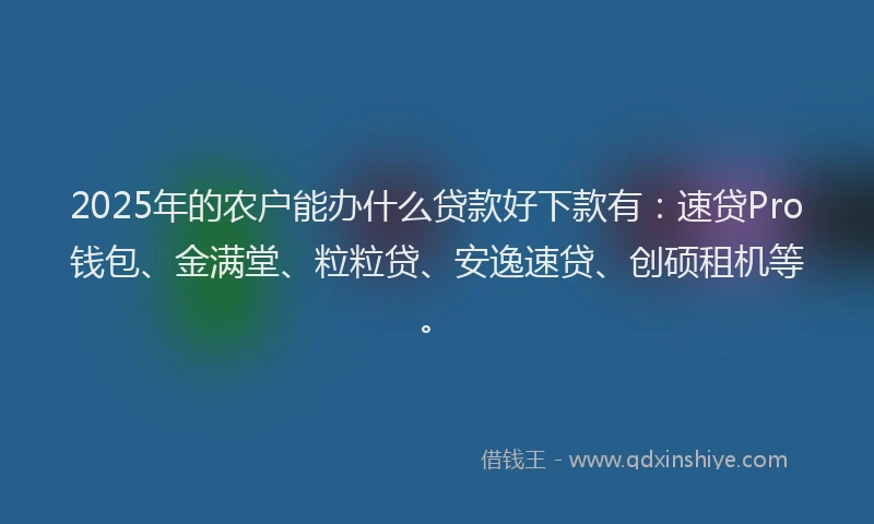 2025年的农户能办什么贷款好下款有：速贷Pro钱包、金满堂、粒粒贷、安逸速贷、创硕租机等。