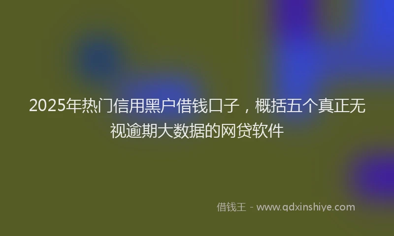 2025年热门信用黑户借钱口子，概括五个真正无视逾期大数据的网贷软件