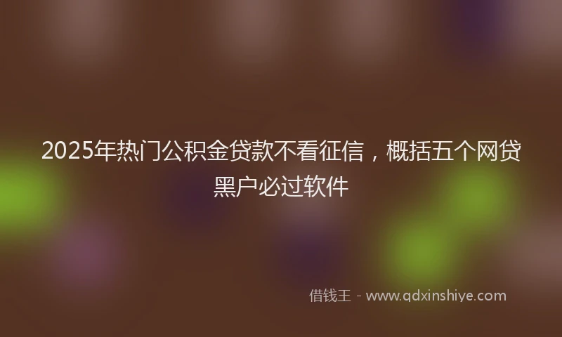 2025年热门公积金贷款不看征信，概括五个网贷黑户必过软件