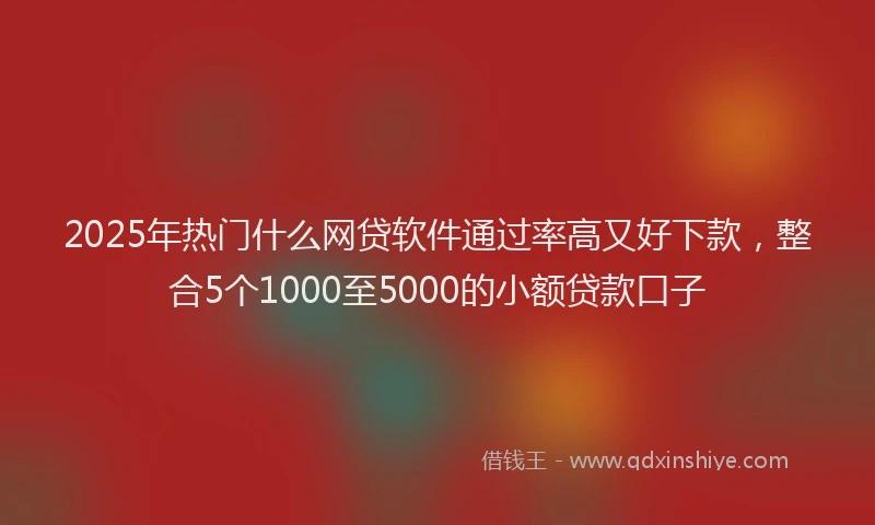 2025年热门什么网贷软件通过率高又好下款，整合5个1000至5000的小额贷款口子