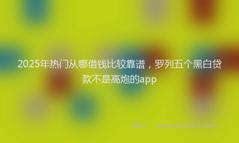 2025年热门从哪借钱比较靠谱，罗列五个黑白贷款不是高炮的app