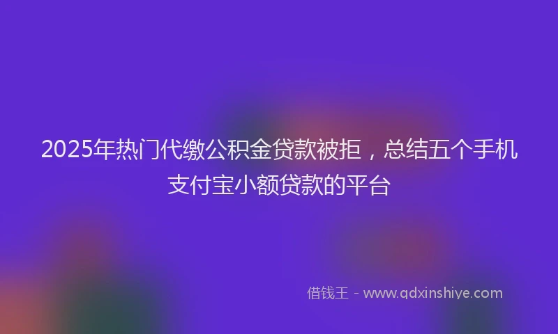 2025年热门代缴公积金贷款被拒，总结五个手机支付宝小额贷款的平台