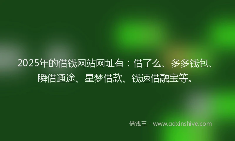 2025年的借钱网站网址有：借了么、多多钱包、瞬借通途、星梦借款、钱速借融宝等。