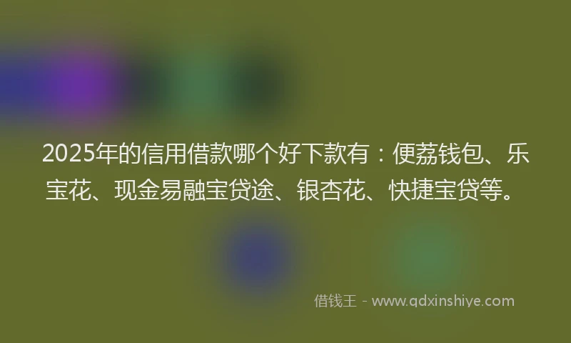2025年的信用借款哪个好下款有：便荔钱包、乐宝花、现金易融宝贷途、银杏花、快捷宝贷等。