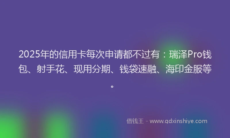 2025年的信用卡每次申请都不过有：瑞泽Pro钱包、射手花、现用分期、钱袋速融、海印金服等。