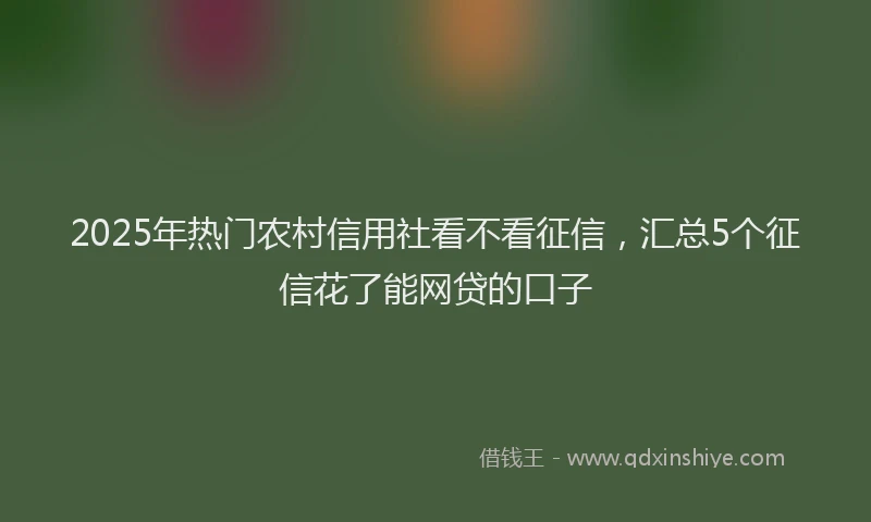 2025年热门农村信用社看不看征信，汇总5个征信花了能网贷的口子