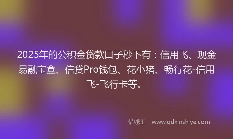 2025年的公积金贷款口子秒下有：信用飞、现金易融宝盒、信贷Pro钱包、花小猪、畅行花-信用飞-飞行卡等。