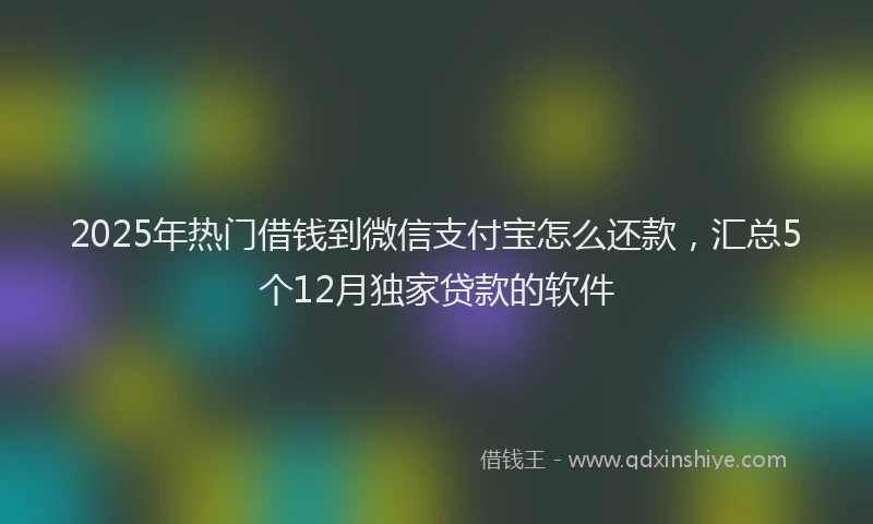 2025年热门借钱到微信支付宝怎么还款，汇总5个12月独家贷款的软件