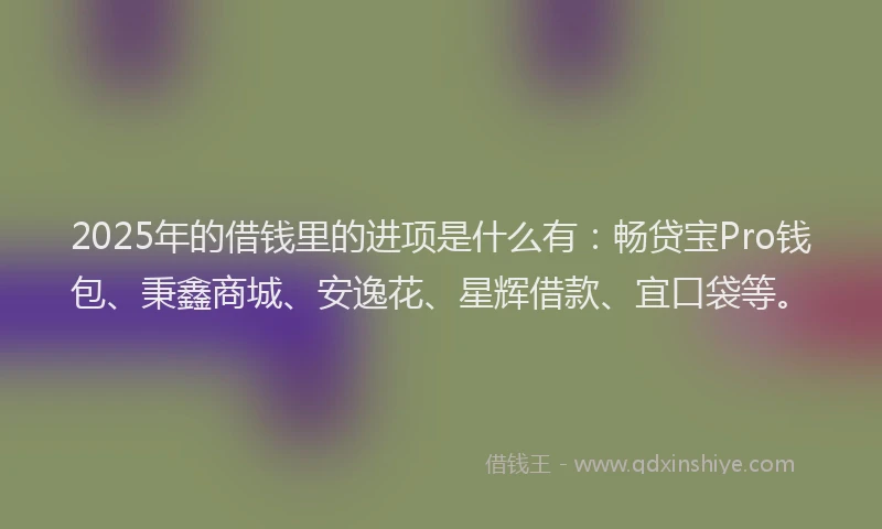 2025年的借钱里的进项是什么有：畅贷宝Pro钱包、秉鑫商城、安逸花、星辉借款、宜口袋等。