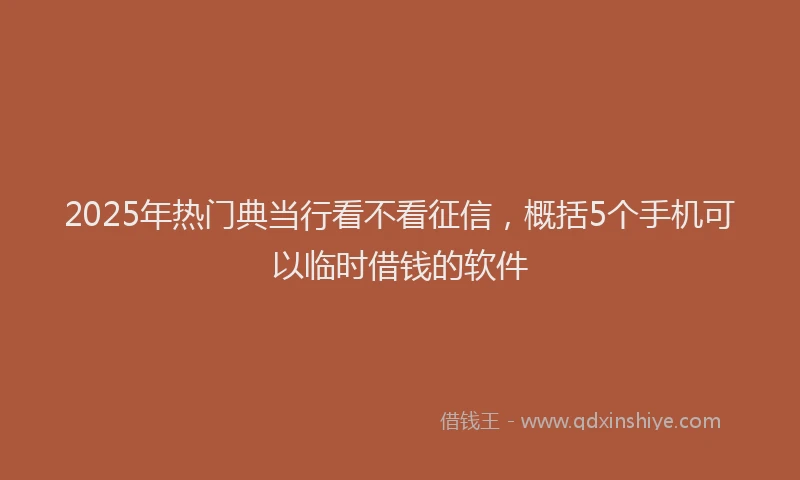 2025年热门典当行看不看征信，概括5个手机可以临时借钱的软件