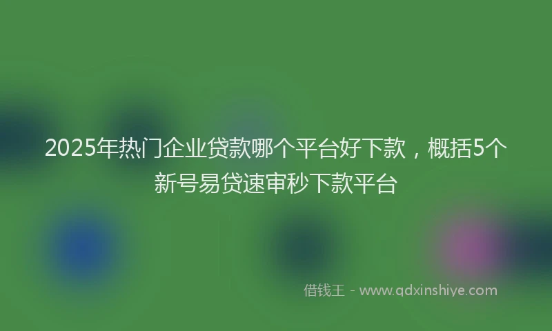 2025年热门企业贷款哪个平台好下款，概括5个新号易贷速审秒下款平台