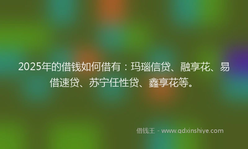 2025年的借钱如何借有：玛瑙信贷、融享花、易借速贷、苏宁任性贷、鑫享花等。