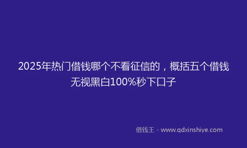 2025年热门借钱哪个不看征信的，概括五个借钱无视黑白100%秒下口子