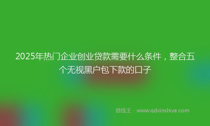 2025年热门企业创业贷款需要什么条件，整合五个无视黑户包下款的口子
