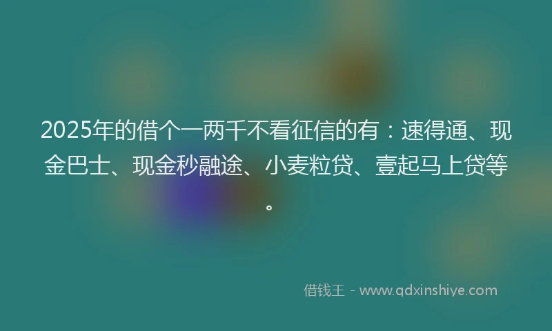 2025年的借个一两千不看征信的有：速得通、现金巴士、现金秒融途、小麦粒贷、壹起马上贷等。