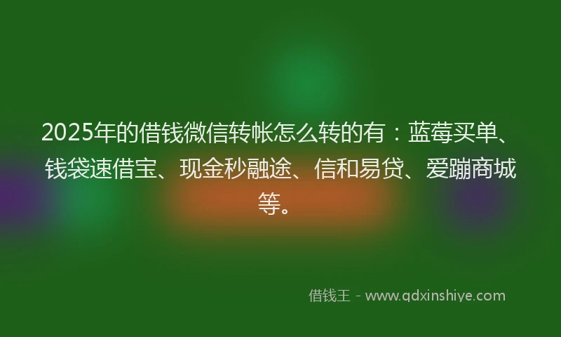 2025年的借钱微信转帐怎么转的有：蓝莓买单、钱袋速借宝、现金秒融途、信和易贷、爱蹦商城等。