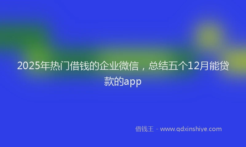 2025年热门借钱的企业微信，总结五个12月能贷款的app