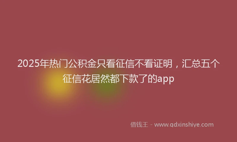 2025年热门公积金只看征信不看证明，汇总五个征信花居然都下款了的app