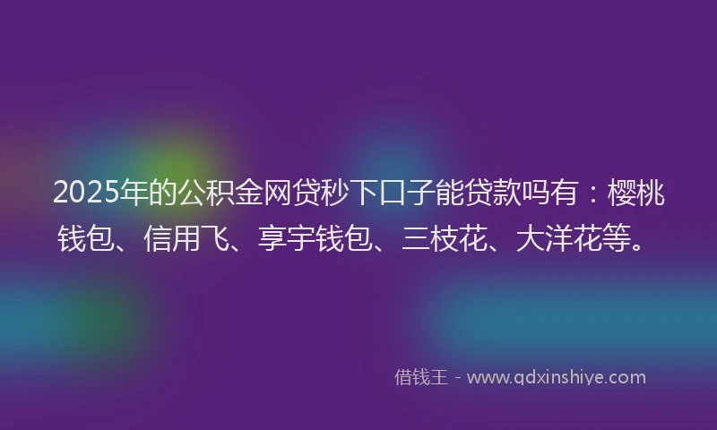 2025年的公积金网贷秒下口子能贷款吗有：樱桃钱包、信用飞、享宇钱包、三枝花、大洋花等。