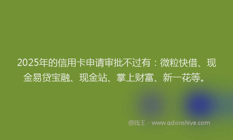 2025年的信用卡申请审批不过有：微粒快借、现金易贷宝融、现金站、掌上财富、新一花等。