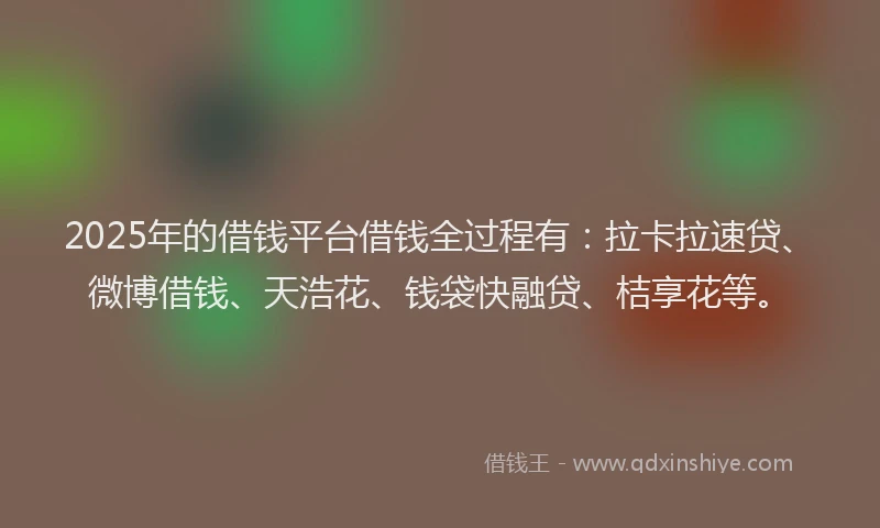 2025年的借钱平台借钱全过程有：拉卡拉速贷、微博借钱、天浩花、钱袋快融贷、桔享花等。