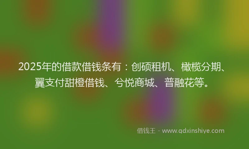 2025年的借款借钱条有：创硕租机、橄榄分期、翼支付甜橙借钱、兮悦商城、普融花等。