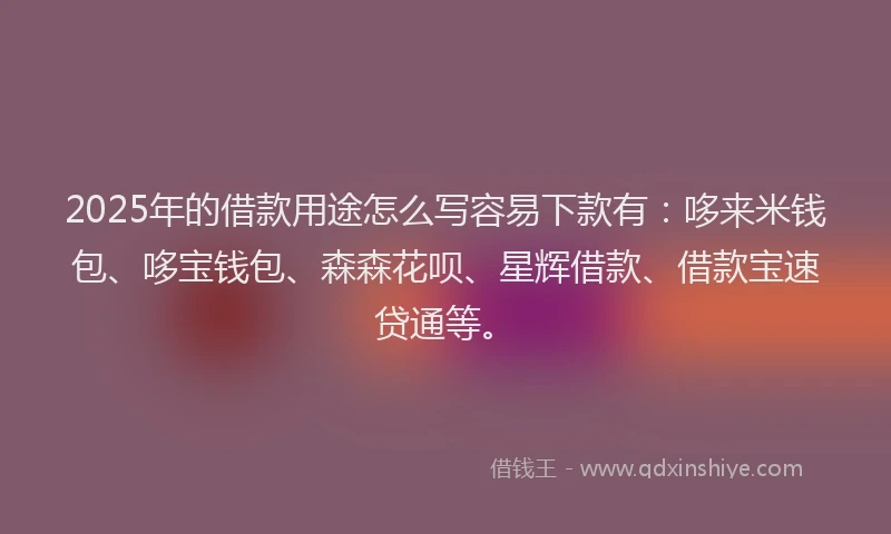 2025年的借款用途怎么写容易下款有：哆来米钱包、哆宝钱包、森森花呗、星辉借款、借款宝速贷通等。