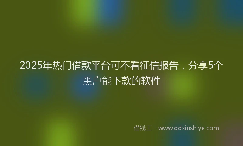 2025年热门借款平台可不看征信报告，分享5个黑户能下款的软件