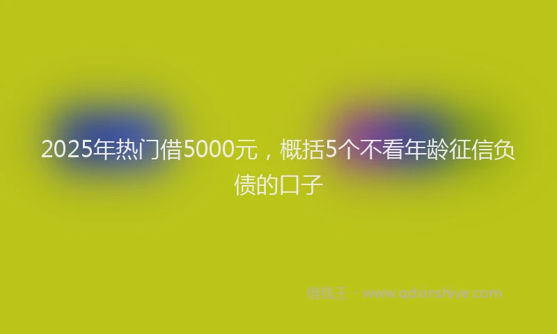 2025年热门借5000元，概括5个不看年龄征信负债的口子