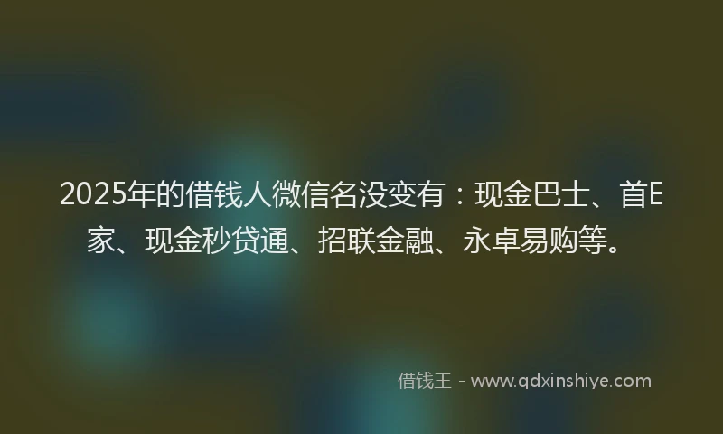 2025年的借钱人微信名没变有：现金巴士、首E家、现金秒贷通、招联金融、永卓易购等。