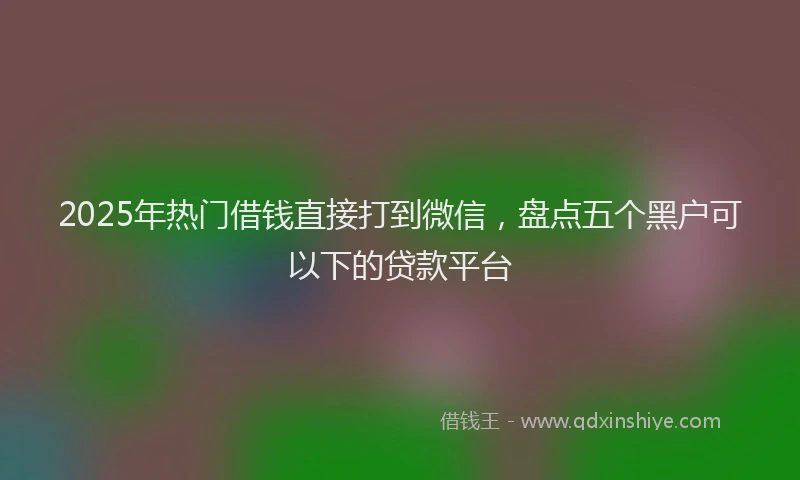 2025年热门借钱直接打到微信，盘点五个黑户可以下的贷款平台