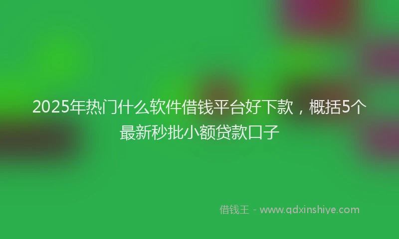 2025年热门什么软件借钱平台好下款，概括5个最新秒批小额贷款口子