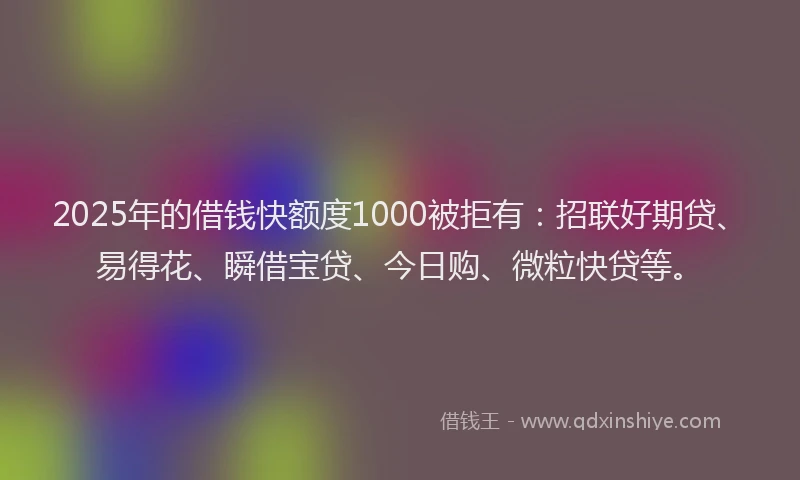 2025年的借钱快额度1000被拒有：招联好期贷、易得花、瞬借宝贷、今日购、微粒快贷等。