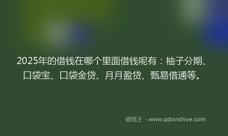 2025年的借钱在哪个里面借钱呢有：柚子分期、口袋宝、口袋金贷、月月盈贷、甄易借通等。