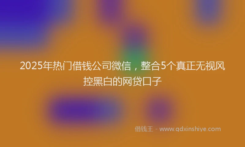 2025年热门借钱公司微信，整合5个真正无视风控黑白的网贷口子