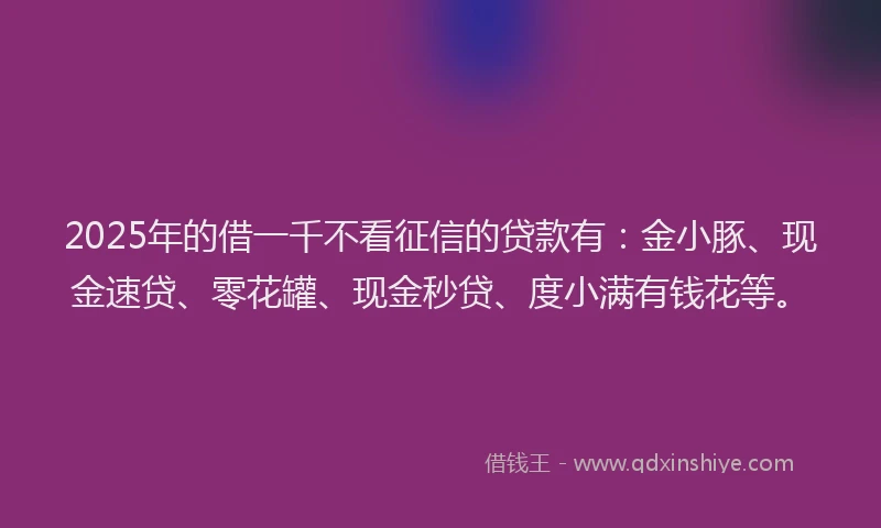 2025年的借一千不看征信的贷款有：金小豚、现金速贷、零花罐、现金秒贷、度小满有钱花等。